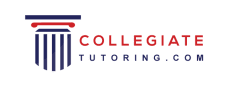 Collegiate Tutoring - Innovate Mississippi Client Story